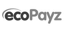 Ecopayz-logo