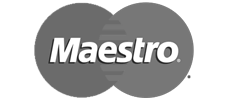 Maestro-logo