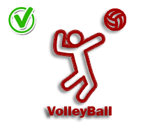 VolleyBall-yes-icon