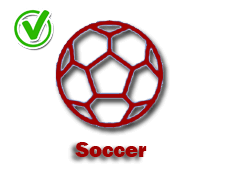 Soccer-yes-icon
