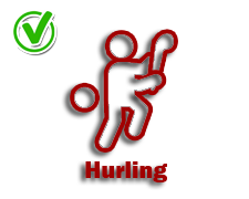 Hurling-Yes-icon